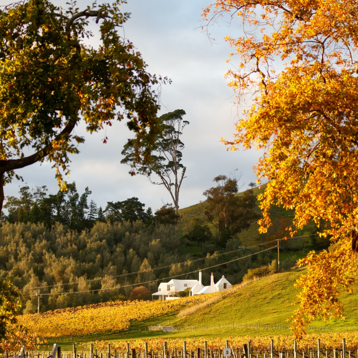 Te Mata Dinner Sydney February 26th 2026 6.30pm