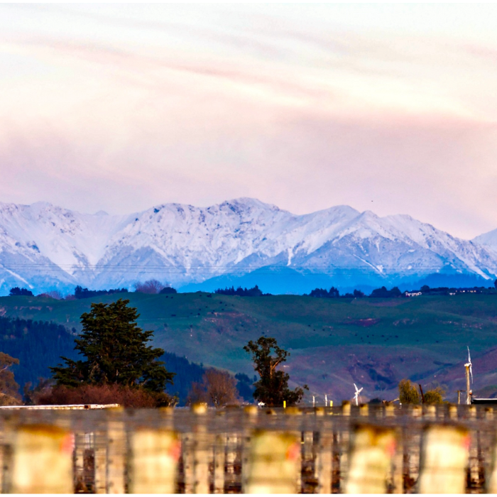 Te Mata Dinner Sydney February 26th 2026 6.30pm