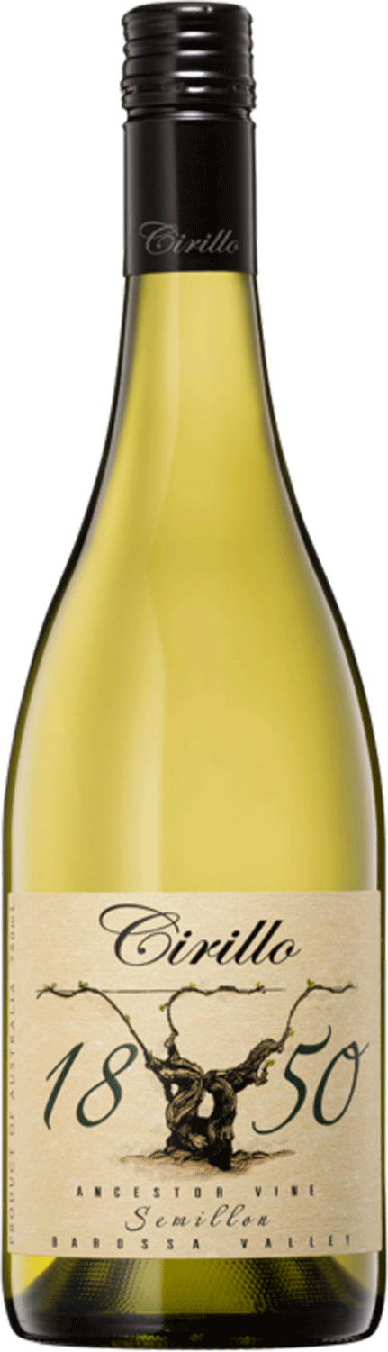 Cirillo 1850 Ancestor Vine Semillon 2021