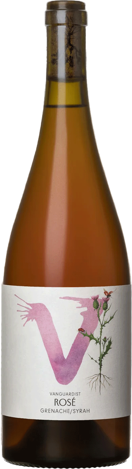 Vanguardist Blewitt Springs Rose 2025