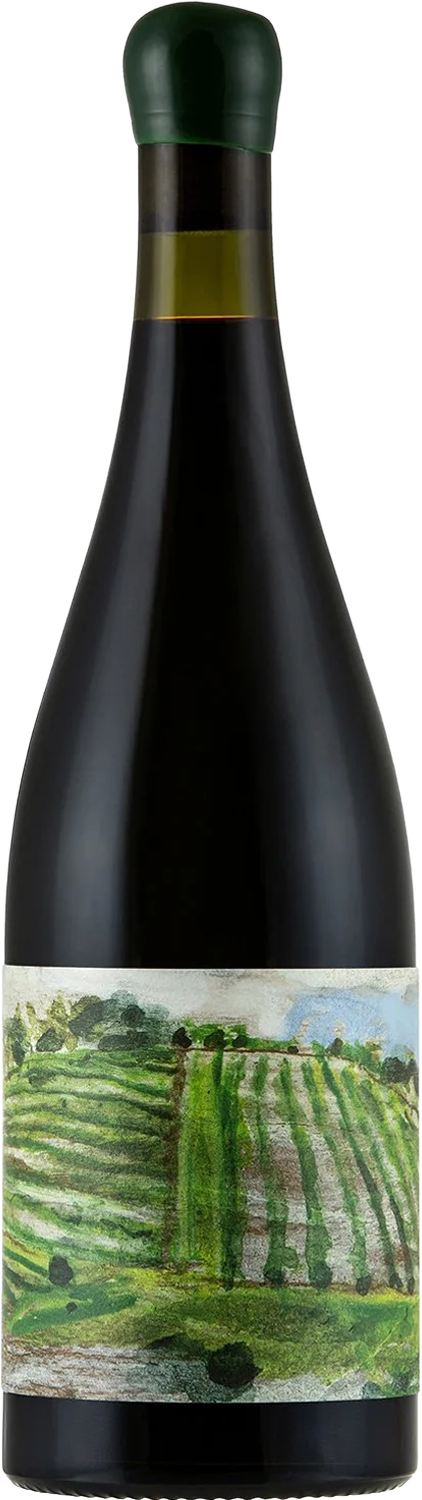 Pokolbin Vintners 'Pokolbin Mountain Light Dry Red' 2024