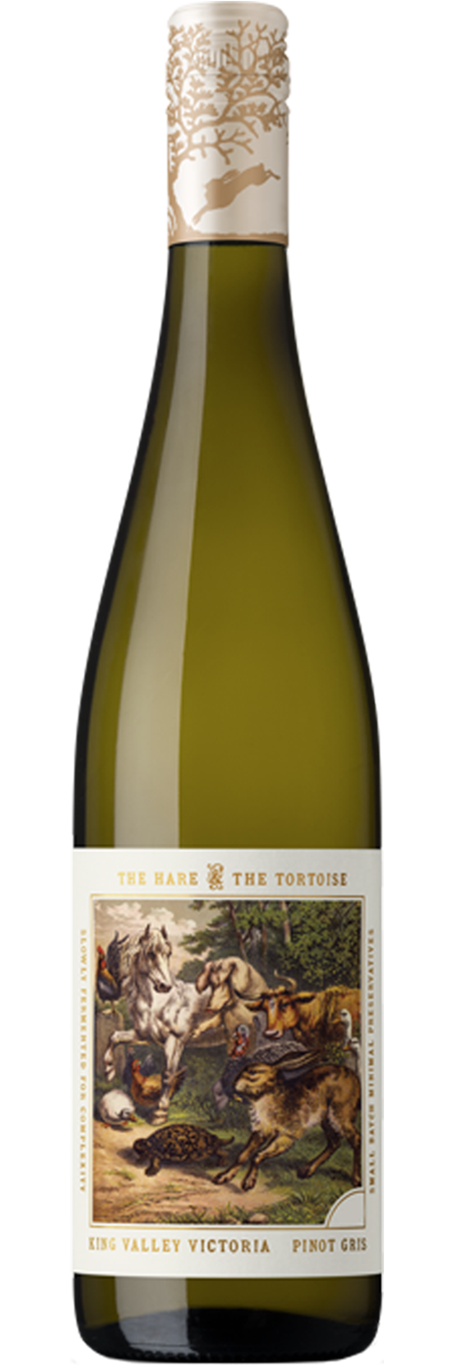 The Hare And The Tortoise Pinot Gris 2025