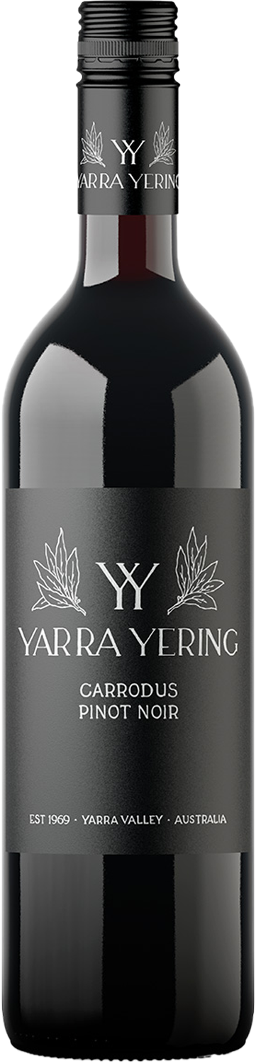 Yarra Yering Carrodus Pinot Noir 2021